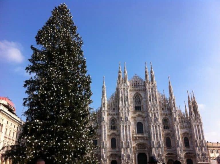 The Christmas Tree in Milan