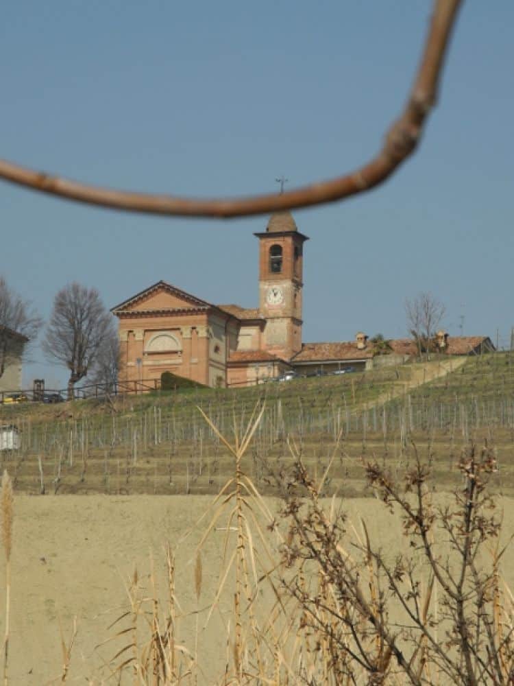 Italia, Langhe, un ramo ed una chiesa, 2012 (Piemonte)