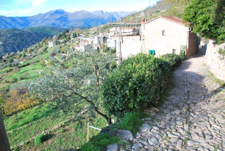 Italy, Verezzi – road to village, Dec.2012 (Liguria)