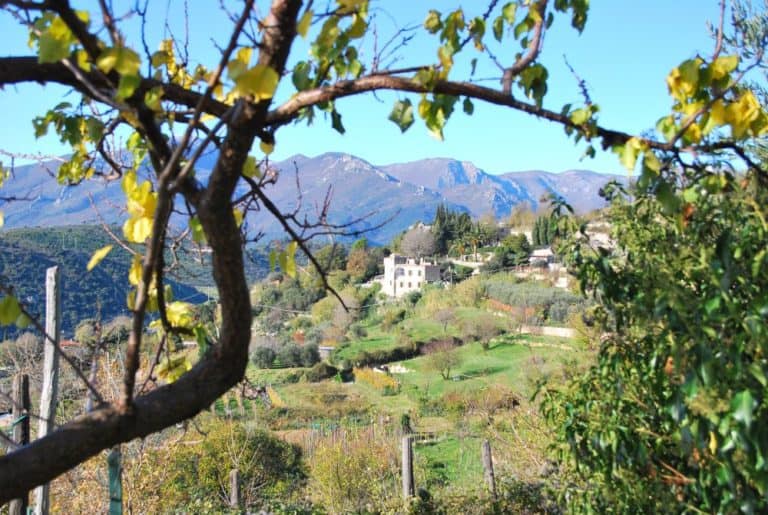 Italia, Verezzi – panorama con albero e montagne, dicembre 2012 (Liguria)