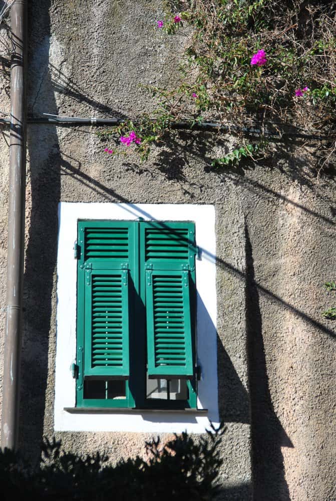 Italia, Verezzi – finestra verde e fiori, dicembre 2012 (Liguria)