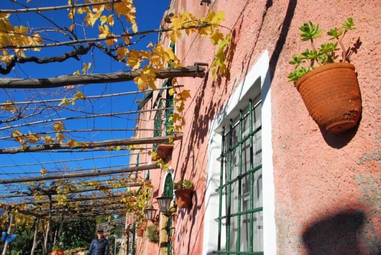 Italia, Verezzi – vaso da fiori, dicembre 2012 (Liguria)