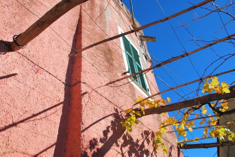 Italia, Verezzi – muro rosa, dicembre 2012 (Liguria)