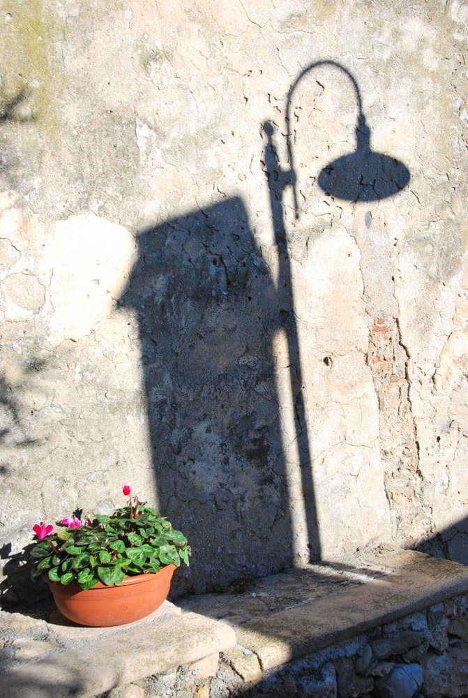 Italia, Verezzi – fiori e ombra, dicembre 2012 (Liguria)