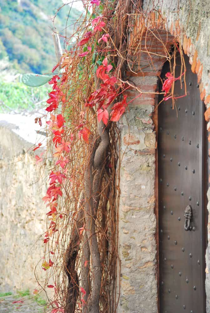 Italia, Verezzi – porta e foglie rosse, dicembre 2012 (Liguria)