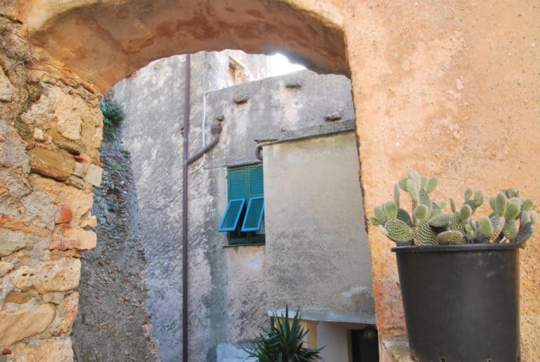 Italy, Verezzi – cactus, Dec.2012 (Liguria)
