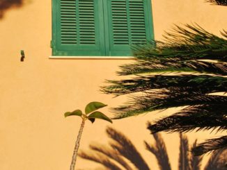 Italy, Verezzi – green window and flowers, Dec.2012