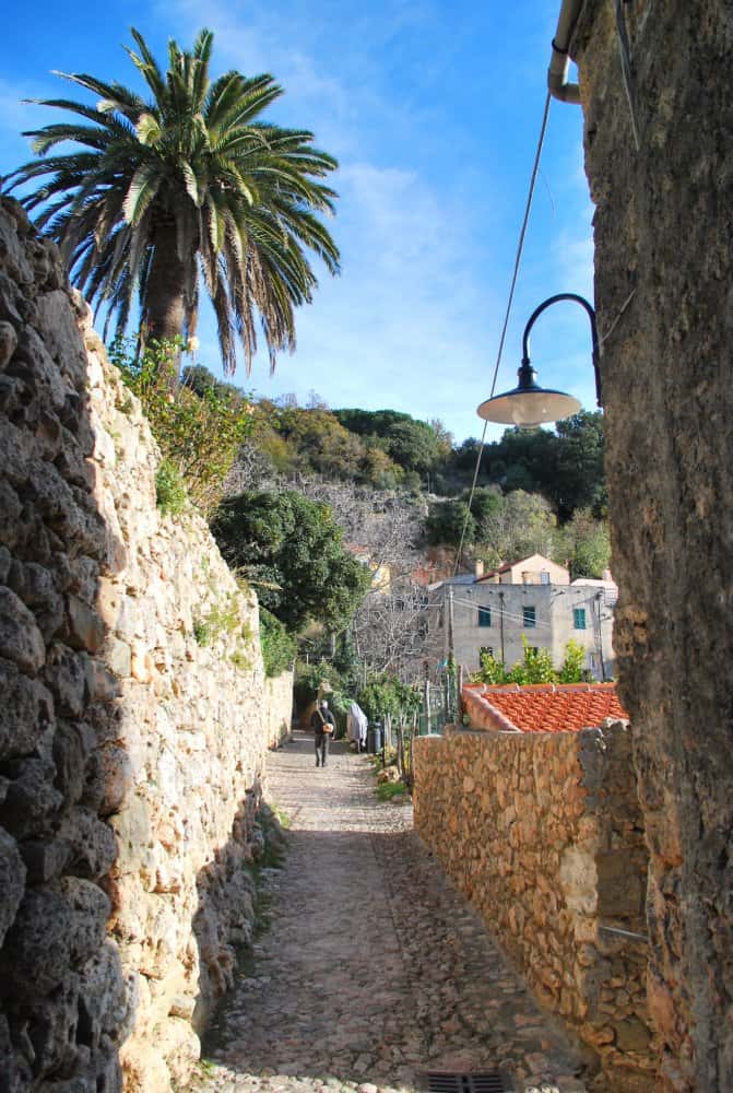 Italy, Verezzi – palm and path, Dec.2012 (Liguria)