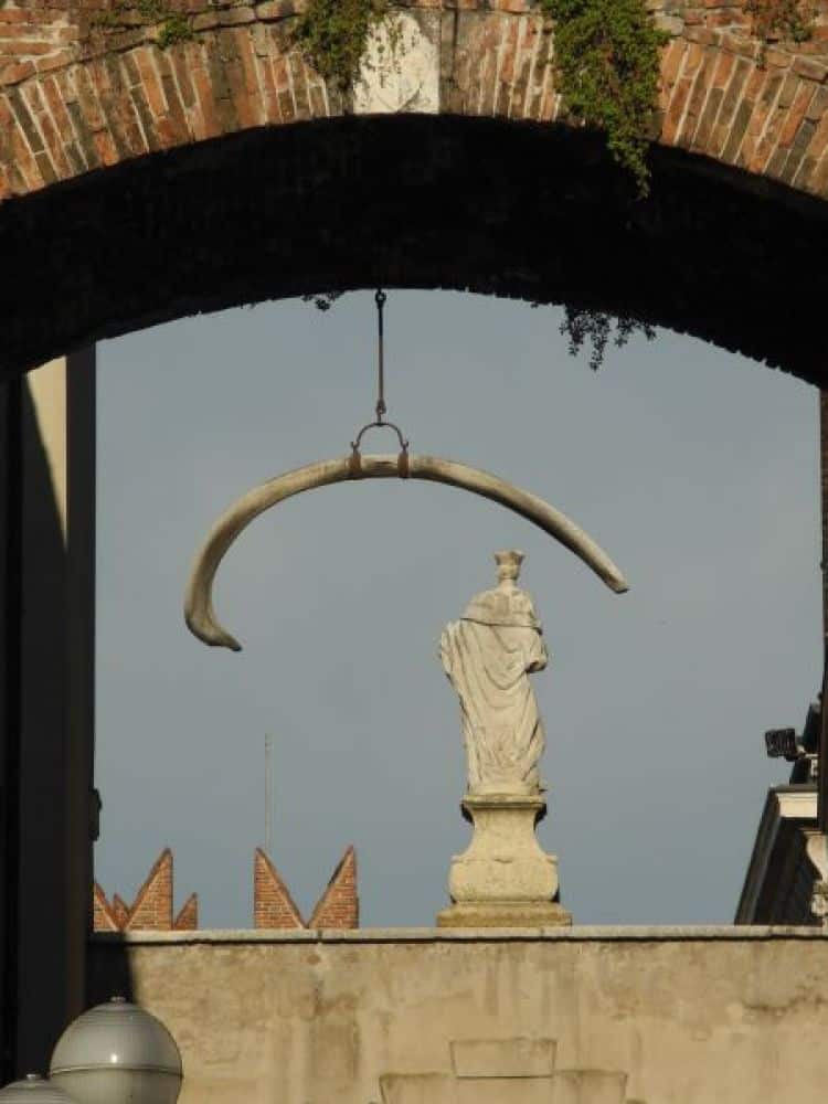 Italia, Verona – osso 2011 (Verona)