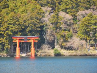 Anímate, turismo japonés