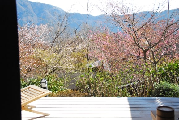 Meraviglioso ryokan (hotel tradizionale giapponese) a Hakone