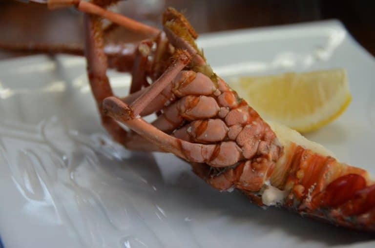 Japan, Iseshima – lobster, Jan.2013 (Iseshima)