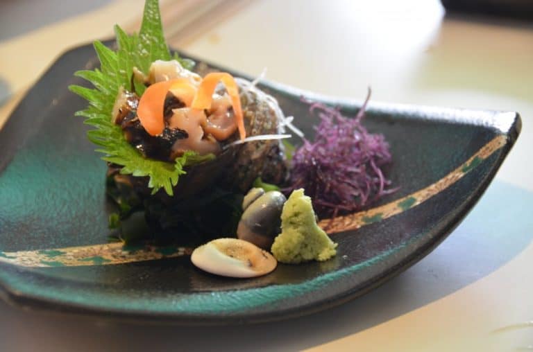 Giappone, Kamakura – trattola di mare, dicembre 2012