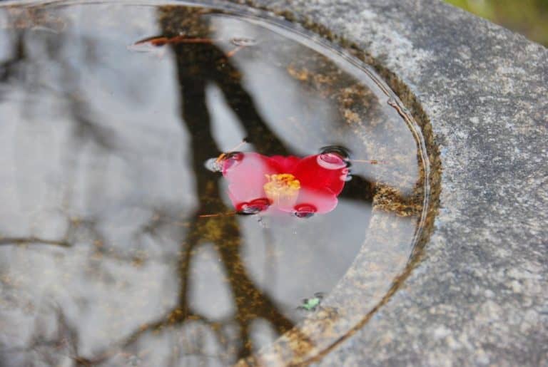 Giappone, Kanazawa – acqua, aprile 2012 (Kanazawa)