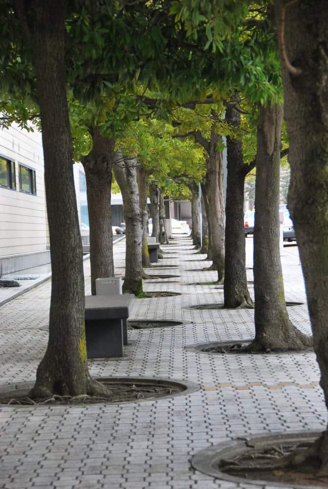 Giappone, Kanazawa – marciapiede, aprile 2012 (Kanazawa)
