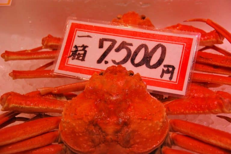 Giappone, Kanazawa – granchio, aprile 2012 (Kanazawa)
