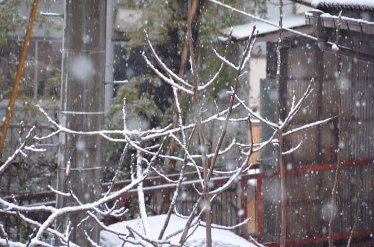 Gente en la ciudad cubierta de nieve