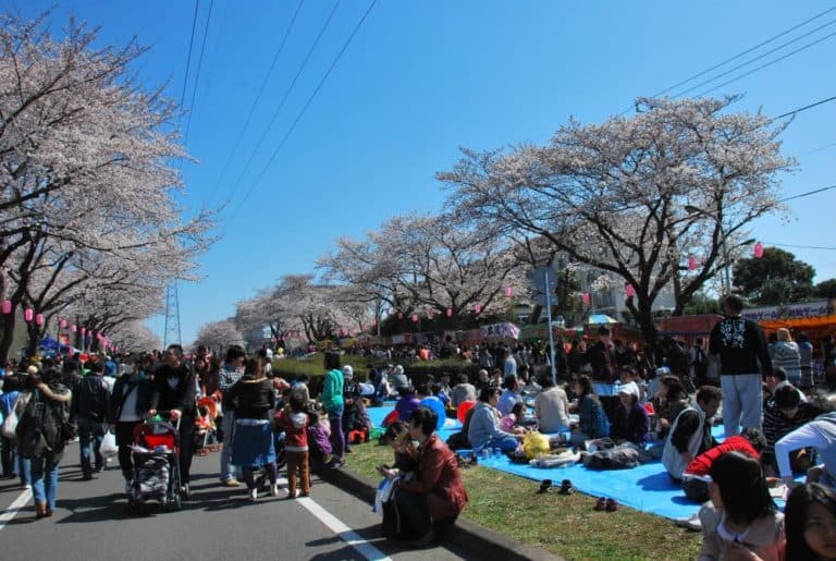 日本、祭り－全景 2012年4月 (東京)
