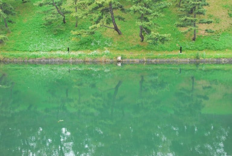 日本、東京－緑 2012年4月 (東京)