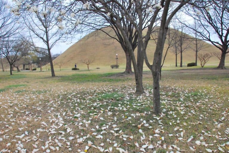 Gyeongju foto