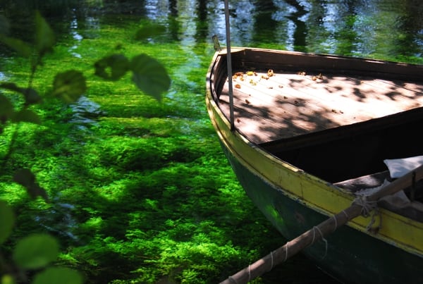 La sorgente più pura ad Ohrid