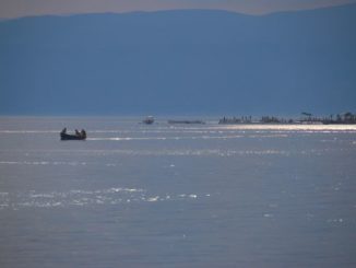 マケドニア、オホリッド－ボートがたくさん 2011年