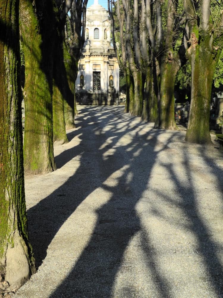 Milan, monumentale – shadows of trees, Jan.2015 (Milan)