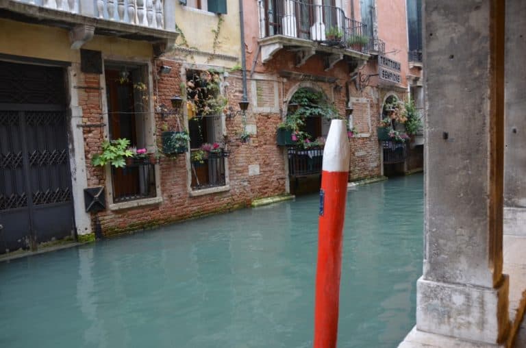 morning – red stake, Oct.2015 (Venecia)