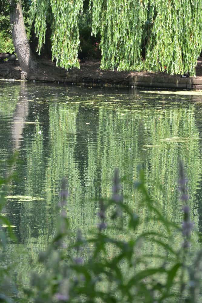 England, London – reflections, July 2013 (Londres)