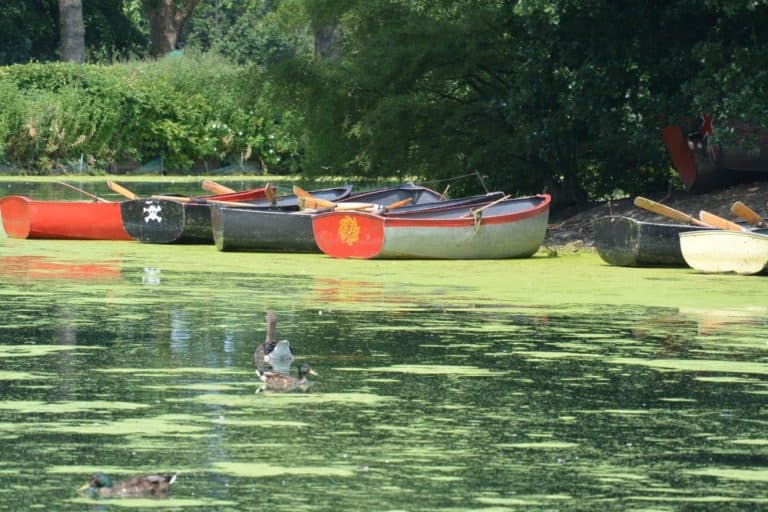 England, London – boats, July 2013 (Londres)