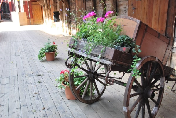Norvegia, Bergen – fiori, 2009