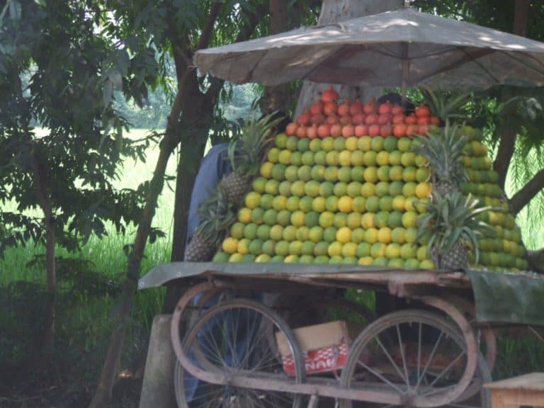 India, towards Dharamsala – fruits, Sept.2006 (Dharamsala)