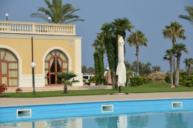 intorno alla piscina, palme, Luglio 2015 (Calabria)