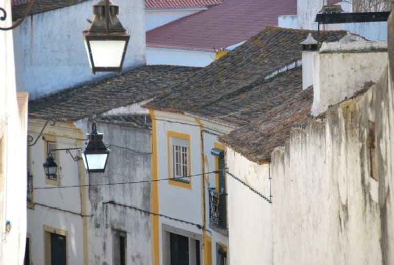 Portogallo, Evora – pendenza, 2011 (Alentejo)