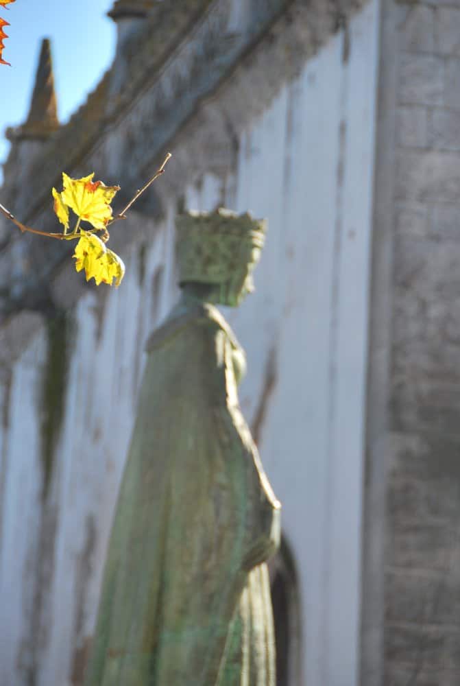 Portogallo, Beja – foglie, dicembre 2011 (Alentejo)