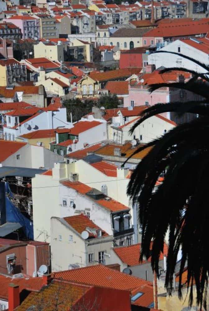 Portugal, Lisbon – roofs, 2011 (Lisbon)
