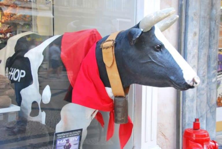 Portugal, Lisbon – cow, 2012 (Lisbon)