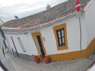 ポルトガル、メルトラ－オレンジ色の屋根 2012年1月