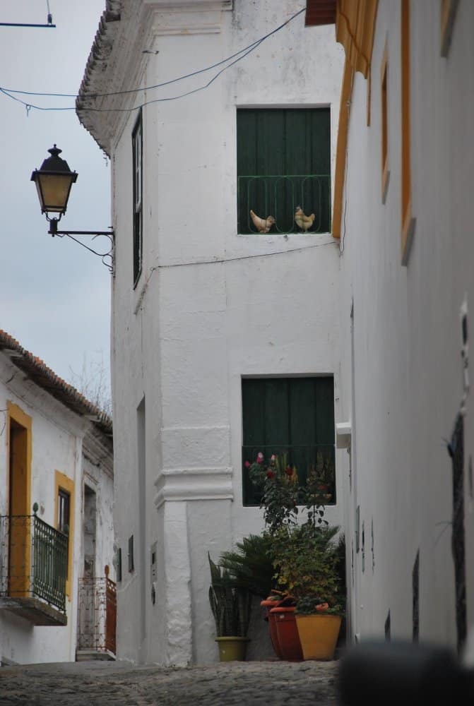 Portogallo, Mertola – finestra con galline, gennaio 2012 (Alentejo)