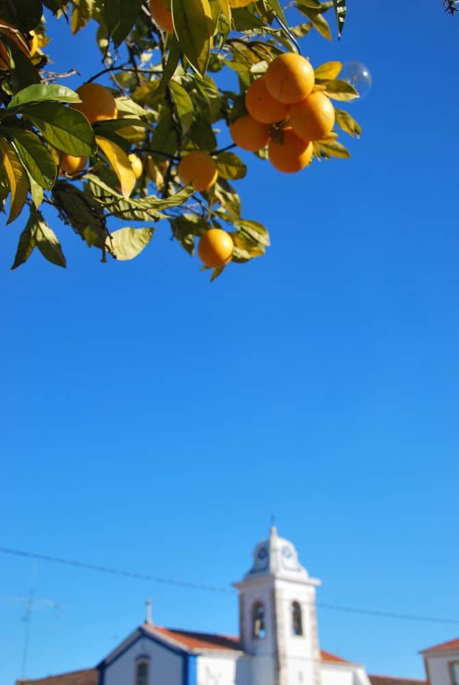 Portogallo, Vila Vicosa – cielo azzurro, dicembre 2011 (Alentejo)
