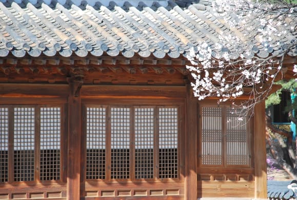 South Korea, Seoul – blossoms and windows, 2011 (Seoul)