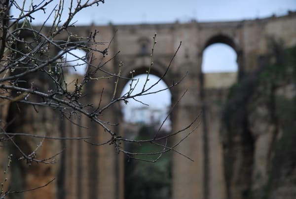 Spagna, Ronda – rami, 2011 (Andalusia) (Ronda)