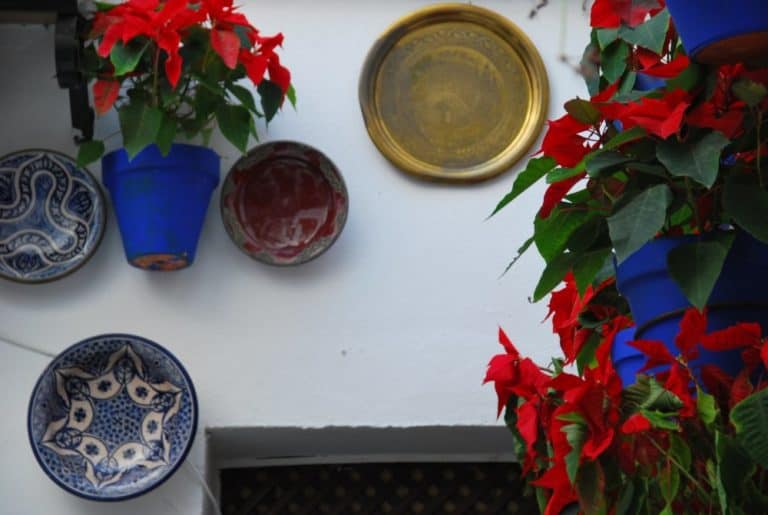 Spagna, Cordoba – decorazione, dicembre 2010 (Andalusia) (Cordoba)