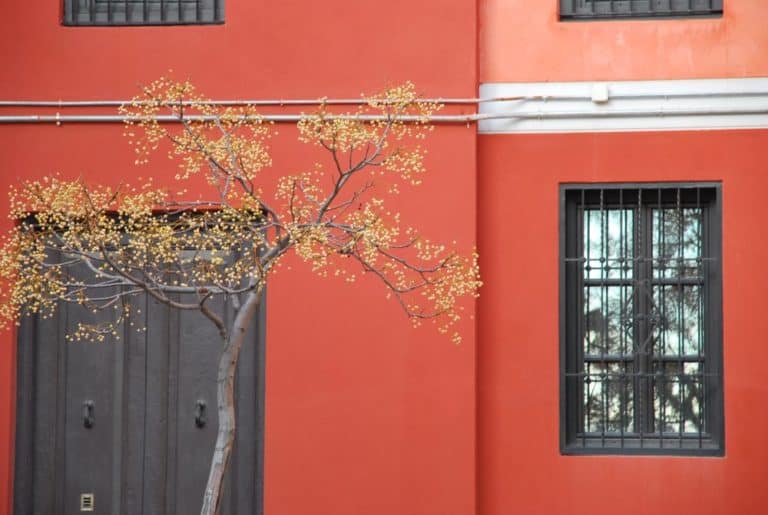 Spain, Granada – orange wall, Dec. 2010 (Granada) (Andalucia)