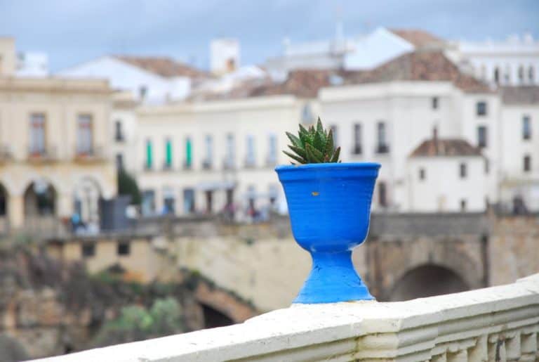 Spagna, Ronda – vaso azzurro, dicembre 2010 (Andalusia) (Ronda)