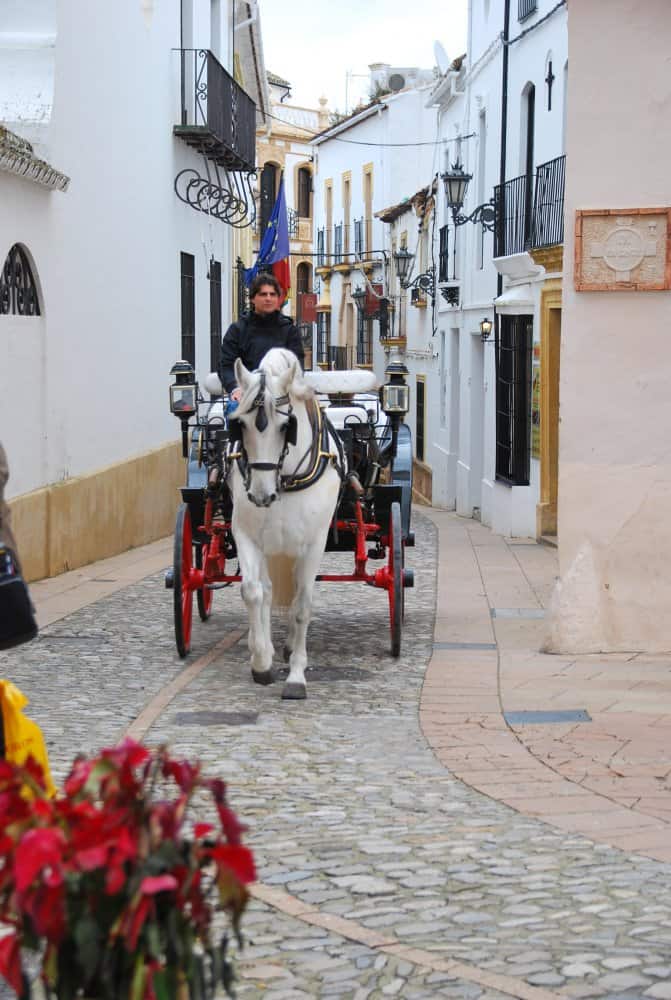 Spagna, Ronda – carrozza, dicembre 2010 (Andalusia) (Ronda)
