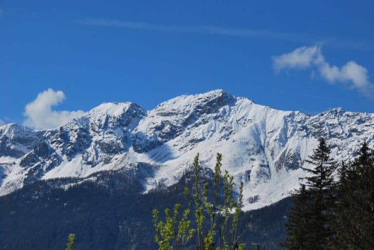 Svizzera, Bernina Express – montagna e alberi, maggio 2012
