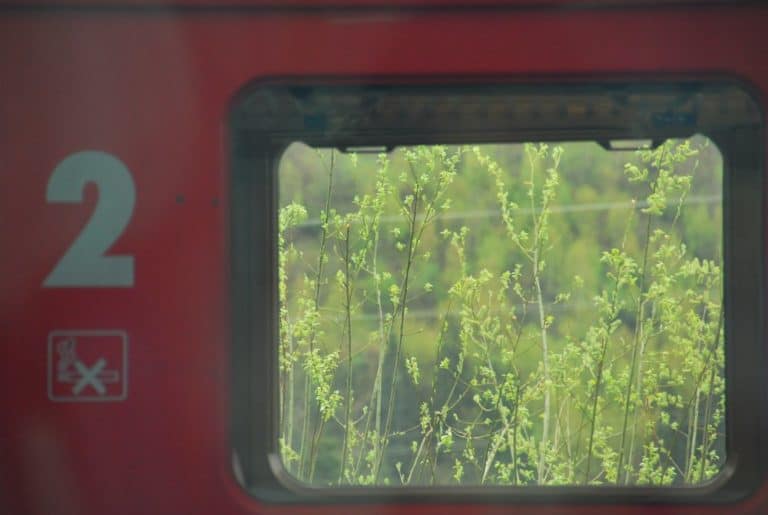 Switzerland, Glacier Express – train window, May 2012