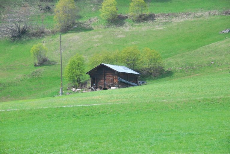 Switzerland, Glacier Express – house in green, May 2012