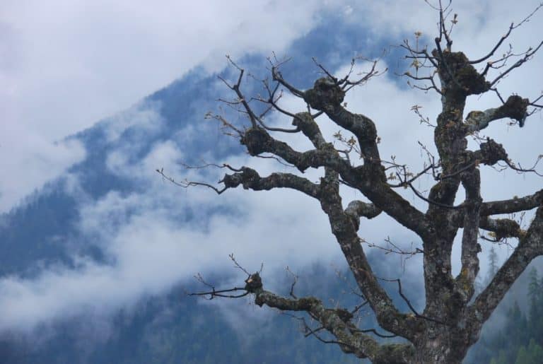 Switzerland, Glacier Express – mysterious mood, May 2012